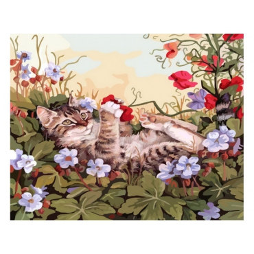 Кошкины забавы
