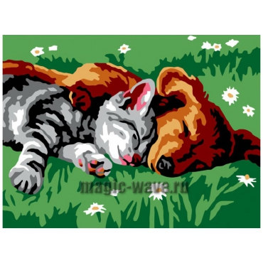 Котенок и щенок