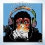 Monkey - Music. Чувство ритма
