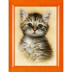 Алмазная вышивка Портрет котенка