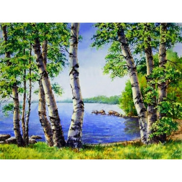 Алмазная вышивка Берёзы у озера